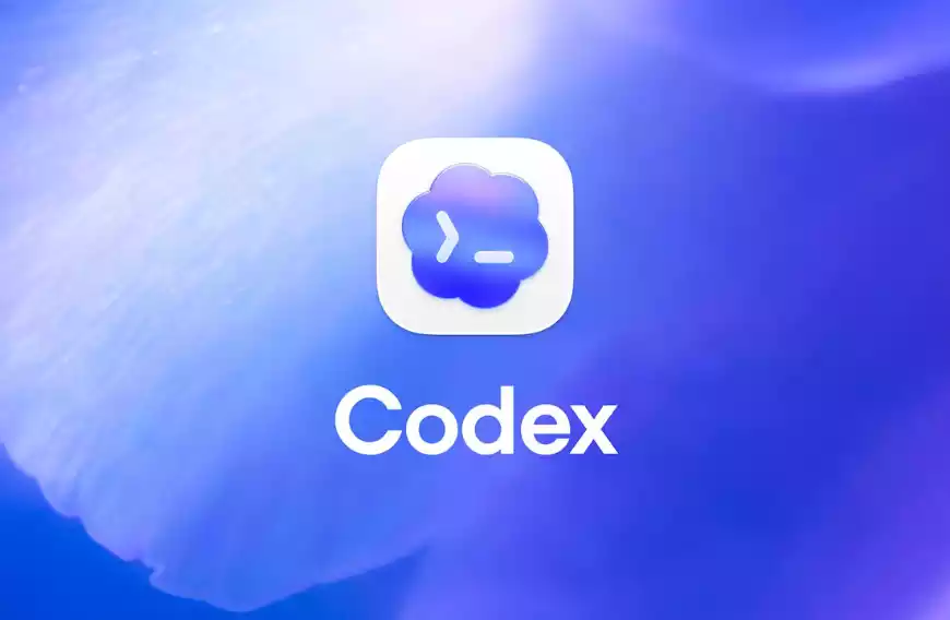 OpenAI Codex 从入门到实战:终极使用指南
